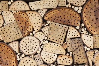 Insect asylum, insect box, an artificial help for nesting and overwintering insects