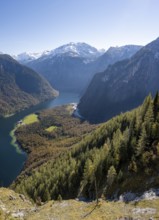View of the Königssee from the Rinnkendlsteig mountain hiking trail, autumnal forest and