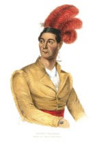 American Indian, Native American, Thayendanegea, Chief of the Mohawk and Head of the Iroquois