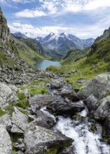 Mountain stream and mountain lake Lac de Louvie with glaciated summit of the Grand Combin, Val de