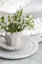 White snowdrops in a classical white teacup on a carved plate, offering a fresh and comforting hint