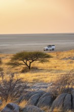 Off-road vehicle on a salt pan, at sunrise, acacia and rocks, Kubu Island (Lekubu), Sowa Pan,