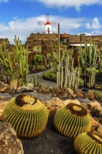 Gofio mill in the Jardin de Cactus with more than 10,000 cacti by Cesar Manrique, Guatiza,