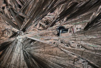 Intricate detail and radiant colors of Hippuric acid crystals magnified under a microscope. The