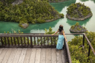 A woman stands on a wooden deck, admiring a lush tropical landscape with vibrant green water and
