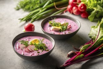 A vibrant cold beetroot soup served in stylish bowls, garnished with fresh herbs, radish slices,