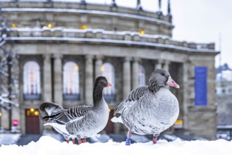 Winter in Stuttgart. It snowed overnight and the city is wintry white early in the morning. Nile