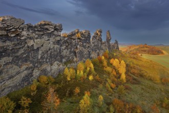 Teufelsmauer, Devil's Wall, eroded sandstone rock formation Mittelsteine near Weddersleben in the
