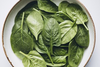 A top view of fresh green spinach leaves arranged beautifully in a rustic ceramic bowl. The vibrant