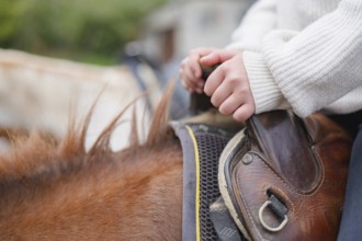 A young rider firmly grips a horse's saddle, illustrating a sense of focus and connection during a
