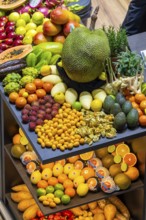 Exotic fruits, lychee, jackfruit, dragon fruit, mango and citrus fruits presented on a table,