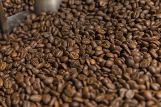 Coffee is roasted by hand in a small drum roaster with lots of experience, where the hot freshly