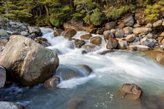 A small waterfall flows rapidly over large rocks in a forested area, mountain stream and white