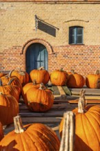 Ripe pumpkins lying on an old wooden trailer in front of a farm shop on a farm, village of Rieben