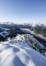 Snow-covered summit of the Jenner with viewing platform in autumn, view of the sea of clouds and