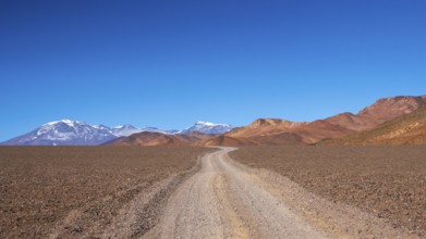 A captivating shot of a winding dirt road stretching through the stark, arid desert landscape of La