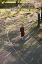 A serene scene of a person walking on a quiet, blossom-lined park path in Japan. Sakura flowers and