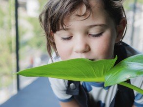 A young girl with tousled hair gently smells a large, shiny green leaf, capturing a moment of