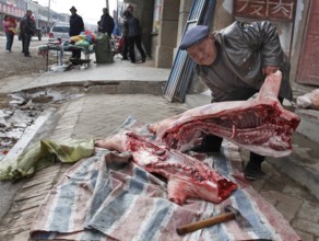 Xining, CHN, 27/02/09 - A butcher cuts up a side of pork on the pavement of a village near Xining.