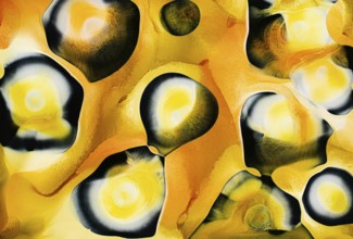 Dynamic abstract design featuring yellow and black liquids shapes with smooth textures. Bright and