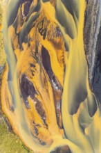 Stunning aerial shot captures the rich, golden hues of rivers snaking through the rugged terrain of