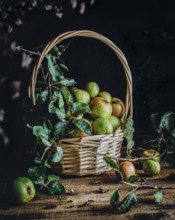 A rustic wicker basket filled with fresh green apples sits on a wooden table. Surrounded by leaves