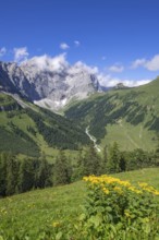 Grubenkarspitze, seen from Drijaggenalm, Tyrol, Austria