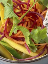 Asian dish, vegan, starter, mango salad, cucumber, soya chilli dressing, carrots, coriander,