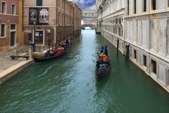 Gondola rides with tourists with the Bridge of Sighs in the back, Venice, Veneto, Italy