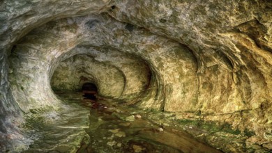 New Zealand, South Island, cave, grotto, cave stream, New Zealand