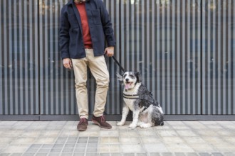 A cropped unrecognizable stylish man stands with his dog against a modern city backdrop, showcasing
