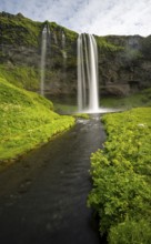 Seljalandsfoss waterfall, Seljalandsa river, South Iceland, Iceland