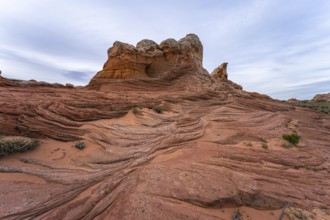 Striking red sandstone formations with intricate patterns in White Pocket, Arizona, epitomize the