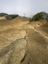 Yellow soil and rocks, erosion, near Arguamul, La Gomera, Canary Islands, Spain