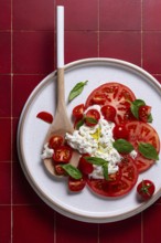 Top view of a beautifully composed caprese salad featuring sliced ripe tomatoes, creamy burrata