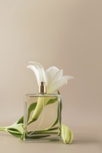 A minimalist perfume bottle elegantly paired with a white lily flower against a neutral background,