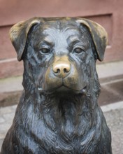 Bronze statue, monument, portrait, close-up of a Rottweiler dog, it is reminiscent of the dog breed