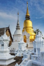 Wat Suan Dok (Buddhist temple (Wat). Chiang Mai, northern Thailand