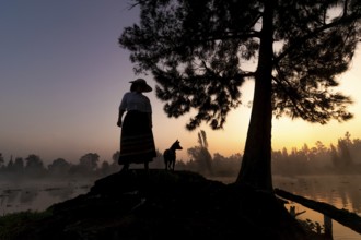 A serene silhouette of a woman and her Xoloitzcuintle dog at sunrise, against the backdrop of the