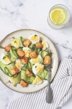 Delicious salmon and egg salad served on a plate with fresh cucumber and herbs for a healthy meal