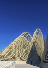 Zayed National Museum in Abu Dhabi, memorial to the late Zayed bin Sultan Al Nahyan, the museum is