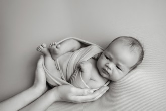 Cropped unrecognizable parent hands holding of a newborn baby securely . The baby appears calm and