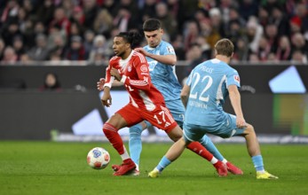Duel, action Michael Olise FC Bayern Munich FCB (17) against Alexander Prass TSG 1899 Hoffenheim