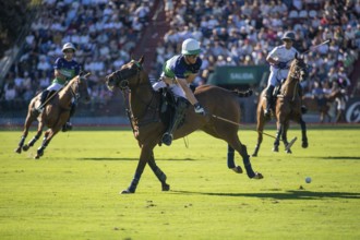Scene at the 132nd Argentinean Open Polo Championship (Spanish 132nd Abierto Argentino de Polo de