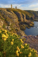 Coastal landscape with cliffs and sea, a lighthouse at Cap Frehel, gorse in the foreground, Cap