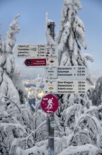 Signpost near the Hornisgrinde, snow, near Sasbach, Ortenaukreis, Black Forest, Baden-Württemberg,