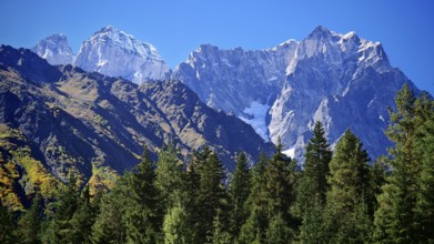 Majestic snow-capped mountain range behind green forests under blue sky, hiking to Chalaadi