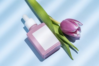 Top view showcasing a skincare serum and a pink tulip placed elegantly on a blue background