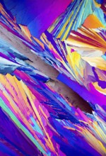 This striking image depicts the colorful patterns of Adipic acid crystals under a microscope,