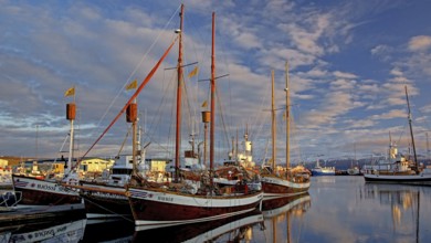 Europe, Scandinavia, Iceland, sailing ship in the port of Husavik